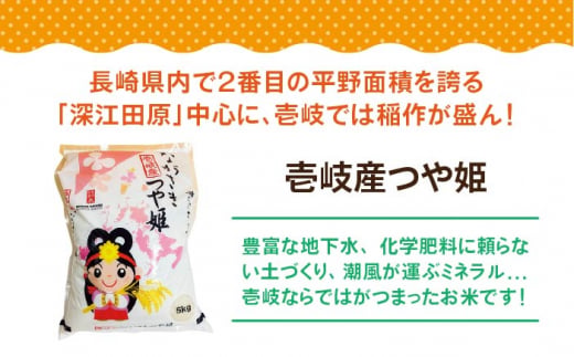 【全6回定期便】壱岐産米 つや姫 5kg 《壱岐市》【壱岐市農業協同組合】 [JBO057] 米 お米 ご飯 ごはん 白米 お弁当 朝食 常温 定期便     100000 100000円 10万円