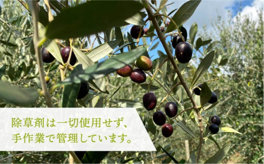 オリーブ抹茶のジンジャーシロップ [JDU007] 11000 11000円