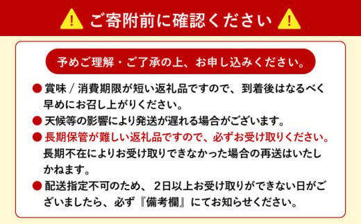 旬の野菜 7品セット 《壱岐市》【壱岐市農業協同組合】[JBO001] 野菜 ベジタブル 食材 詰め合わせ 産地直送 野菜セット グルメ 春 夏 秋 冬 旬 サラダ 冷蔵 夏野菜 スムージー   10000 10000円 1万円