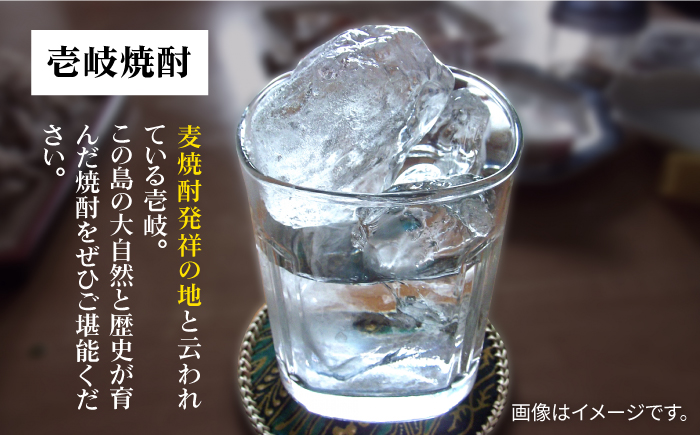 【全2回定期便】 麦焼酎 壱岐 25度 1800ml 紙パック 6本 《壱岐市》【天下御免】 むぎ焼酎 焼酎 麦 酒 お酒 [JDB382]