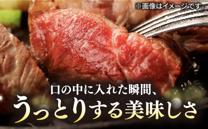 【全12回定期便】壱岐牛 A5ランク ギフトセット《壱岐市》【KRAZY MEAT】[JER045] ステーキ 赤身 牛肉 肉 贈答 プレゼント ギフト ハンバーグ ステーキ 詰め合わせ 480000 480000円 48万円