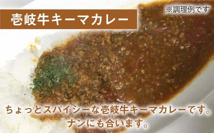 【全2回定期便】壱岐牛煮込みハンバーグキーマカレーセット《壱岐市》【壱岐味噌工房】黒毛和牛 ブランド牛 九州  牛肉 簡単 [JBW035]