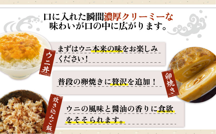 【全12回定期便】壱岐産 濃厚 ウニ 60g ×2本《壱岐市》【合同会社塚元】ムラサキウニ 海産物 海鮮 うに 雲丹 珍味 [JDR036] 400000 400000円 40万円