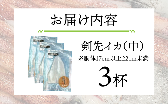 剣先イカ 刺身（中）3杯《壱岐市》【株式会社マルショウ】[JEW003] いか イカ 剣先いか セット おつまみ 新鮮 海鮮丼 刺し身 14000 14000円