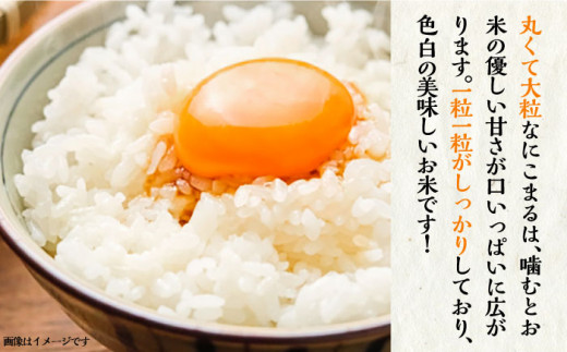【全3回定期便】壱岐産米 にこまる 5kg 《壱岐市》【壱岐市農業協同組合】[JBO053] 米 お米 ご飯 ごはん 白米 お弁当 朝食 常温 定期便 45000 45000円