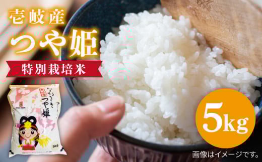 【R7年度産米】壱岐産 つや姫 5kg 《壱岐市》【壱岐市農業協同組合】[JBO024] 米 お米 白米 5キロ ご飯 ごはん お弁当 朝食 17000 17000円