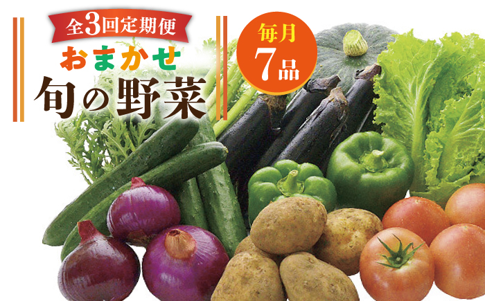 【全3回定期便】旬の野菜 7品《壱岐市》【壱岐市農業協同組合】 [JBO044] 野菜 やさい 旬 季節 セット 詰め合わせ 産地直送 新鮮 サラダ スムージー 定期便 27000 27000円