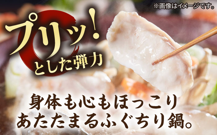 とらふぐ 鍋セット（2～3人前）《壱岐市》【なかはら】[JDT086] ふぐ フグ 河豚 とらふぐ トラフグ 鍋 ふぐ鍋 フグ鍋 とらふぐ鍋 トラフグ鍋 てっちり 海鮮鍋 魚介鍋 [JDT086]