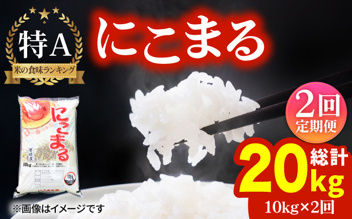 【全2回定期便】にこまる 10kg《壱岐市》【株式会社ヤマグチ】米 お米 ごはん もちもち お弁当 [JCG125]