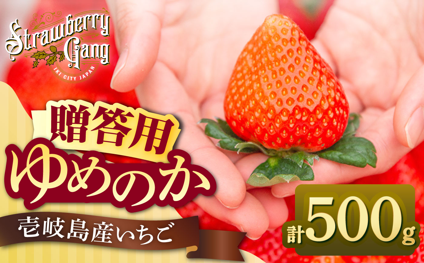 【先行予約】【贈答用】ゆめのか 250g×2パック 【2027年1月以降順次発送】《壱岐市》【Strawberry Gang】 [JEM005] セット いちご イチゴ 苺 果物 フルーツ スムージー プレゼント ギフト 9000 9000円