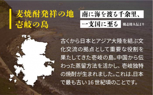 【全3回定期便】壱岐の島 25度とちんぐのセット [JDB219] 36000 36000円