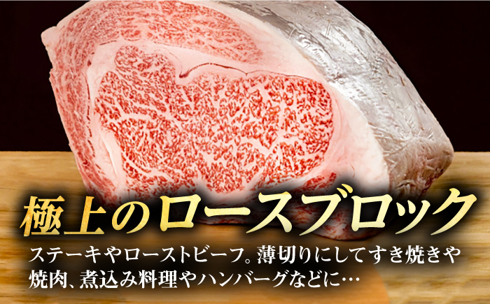 【全2回定期便】 壱岐牛 ロースブロック 500g《壱岐市》【株式会社イチヤマ】 肉 牛肉 ロース ブロック ステーキ BBQ [JFE116]