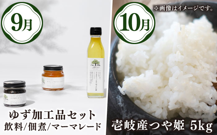 【先行予約】【全12回定期便】壱岐選りすぐり定期便【2025年10月下旬以降順次発送】《壱岐市》【壱岐市農業協同組合】野菜セット メロン ステーキ 詰め合わせ [JBO160] 200000 200000円 20万円