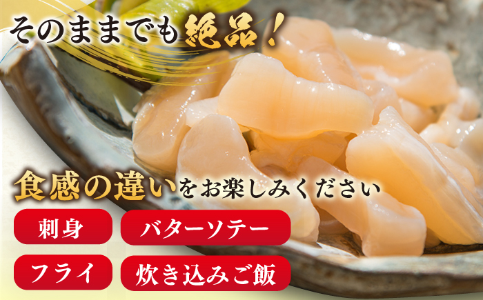 アコヤ貝 真珠 貝柱 750g（250g × 3P）《壱岐市》【丸和水産】 冷凍 刺身 バター焼き 炊き込みご飯 [JCJ025]
