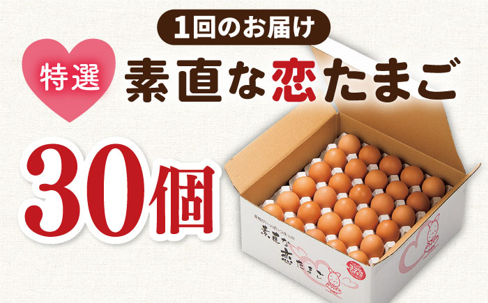 【全2回定期便】特選 素直な恋たまご 30個 《壱岐市》【しまのたまご屋さん】 [JAP016] 卵 たまご 鶏卵 玉子 ギフト 国産 卵かけご飯 たまごかけご飯 のし 定期便 [JAP018]