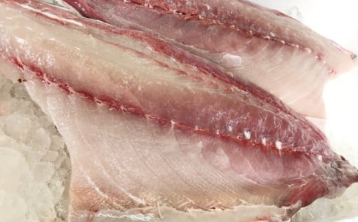 壱岐島産天然寒ブリ（9ｷﾛ台・3枚おろし） [JBS030]