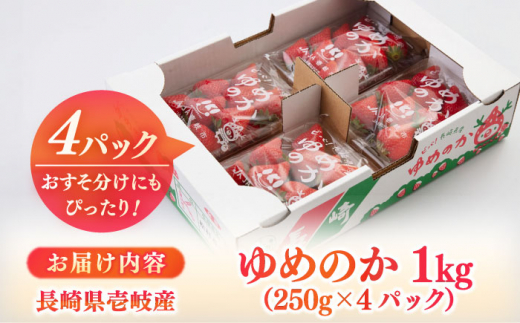 【先行予約】壱岐市産 いちご ゆめのか 1kg（250g×4パック）【2027年3月以降順次発送】《壱岐市》【壱岐市農業協同組合】 イチゴ フルーツ 果物 スムージー 完熟 春いちご [JBO138] 12000 12000円