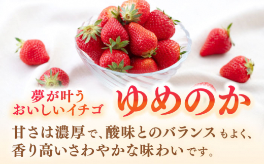 【先行予約】壱岐市産 いちご ゆめのか 1kg（250g×4パック）【2027年3月以降順次発送】《壱岐市》【壱岐市農業協同組合】 イチゴ フルーツ 果物 スムージー 完熟 春いちご [JBO138] 12000 12000円