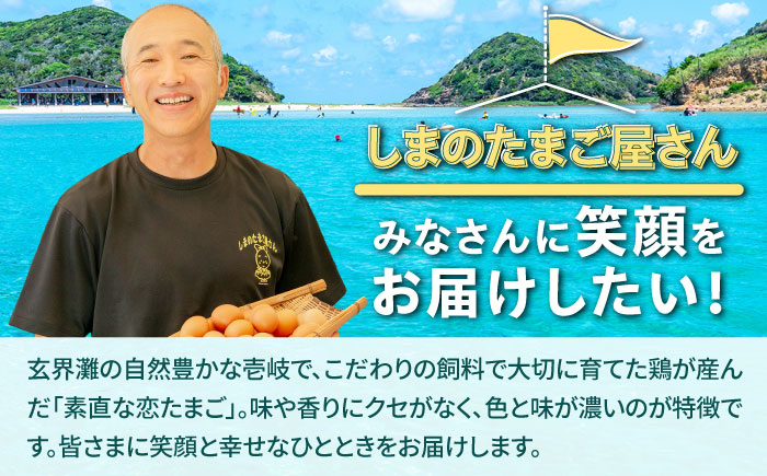【全3回定期便】特選 素直な恋たまご 30個 《壱岐市》【しまのたまご屋さん】  卵 たまご 鶏卵 玉子 ギフト 国産 卵かけご飯 たまごかけご飯 のし 定期便 [JAP019] 30000 30000円 3万円