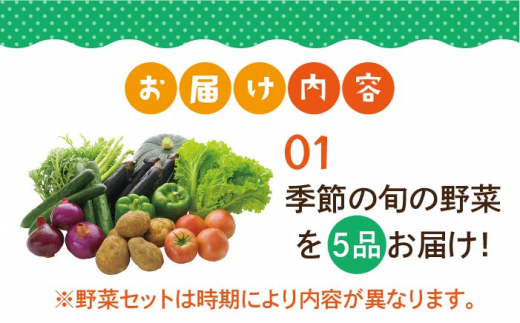 【全3回定期便】壱岐産 つや姫 5kg・旬の野菜 5品《壱岐市》【壱岐市農業協同組合】 [JBO047] 野菜 やさい 旬 季節 セット 詰め合わせ 産地直送 新鮮 サラダ 米 お米 ご飯 ごはん 白米 5キロ 定期便 39000 39000円