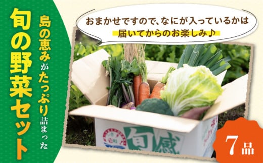 旬の野菜 7品セット 《壱岐市》【壱岐市農業協同組合】[JBO001] 野菜 ベジタブル 食材 詰め合わせ 産地直送 野菜セット グルメ 春 夏 秋 冬 旬 サラダ 冷蔵 夏野菜 スムージー   10000 10000円 1万円