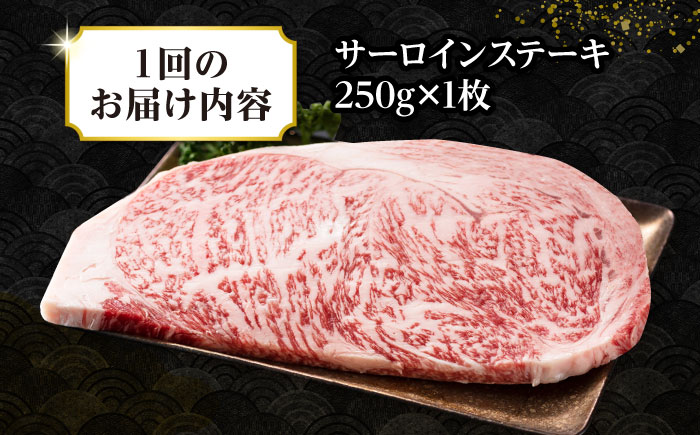 【全3回定期便】【A4〜A5ランク】長崎和牛 サーロインステーキ 250g（250g×1枚）《壱岐市》【株式会社MEAT PLUS】 肉 牛肉 黒毛和牛 サーロイン ステーキ ご褒美 ギフト 贈答用 ご褒美 冷凍配送 A4 A5 [JGH124]