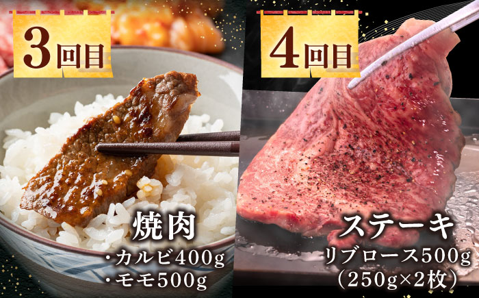 【全12回定期便】《50万》 壱岐牛 ギュギュギュ 定期便 （壱）《壱岐市》 肉 ステーキ 焼肉 しゃぶしゃぶ すき焼き 赤身 [JZX010]