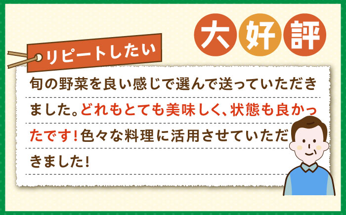 【全12回定期便】旬の野菜セット 7品《壱岐市》【壱岐市農業協同組合】 [JBO046] 野菜 ベジタブル 食材 詰め合わせ 産地直送 野菜セット グルメ 春 夏 秋 冬 旬 サラダ 冷蔵 夏野菜 スムージー 定期便 108000 108000円