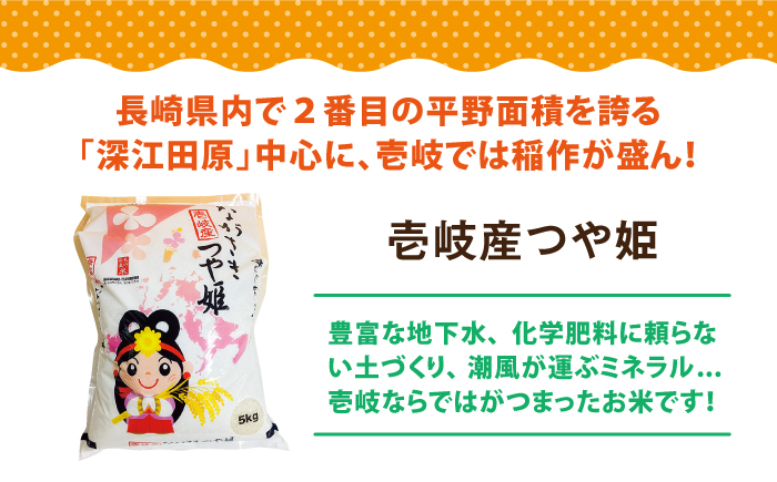 壱岐産 つや姫 10kg 《壱岐市》【壱岐市農業協同組合】 米 お米 ご飯 お弁当 常温発送 [JBO143]