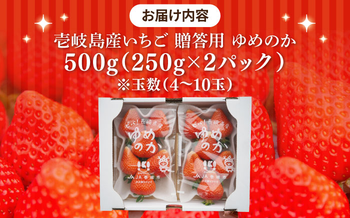 【贈答用】ゆめのか 250g×2パック 《壱岐市》【Strawberry Gang】 [JEM005] セット いちご イチゴ 苺 果物 フルーツ スムージー プレゼント ギフト 9000 9000円