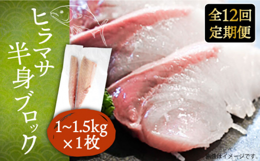 【全12回定期便】ヒラマサフィレ 約1〜1.5kg（半身）《壱岐市》【なかはら】 [JDT041] ヒラマサ フィレ 柵 刺身 刺身ブロック 刺し身 切身 冷凍 海鮮 海鮮丼 324000 324000円 冷凍配送