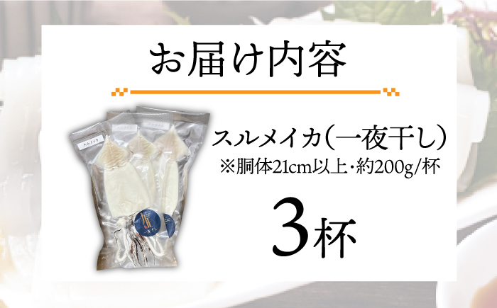 スルメイカ 一夜干し （大）3杯 《壱岐市》【株式会社マルショウ】 いか イカ スルメ おつまみ [JEW010] 13000 13000円