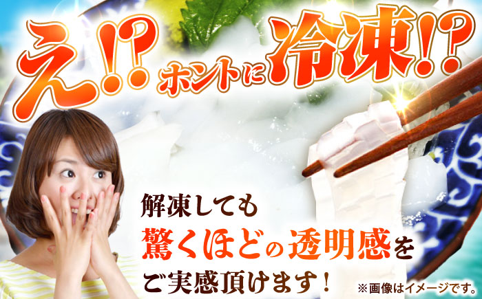 【冷凍】剣先イカ 刺身用 500g 剣先烏賊 《壱岐市》【一支國屋】[JCC024] 海鮮 烏賊 イカ いか 刺身 刺し身 お刺身 剣先イカ 冷凍配送