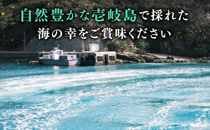 【先行予約】壱岐産 生うに 60g×1本【2026年5月以降順次発送】《壱岐市》【馬渡水産】 生ウニ うに ウニ 雲丹 紫うに ムラサキウニ 海鮮 希少 冷蔵配送 [JAQ005]