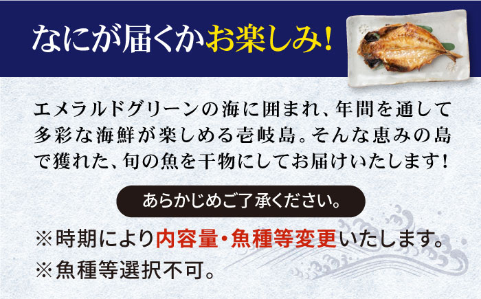 旬の海産物 干物詰め合わせ Bセット 《壱岐市》【マルミ海産物】[JCY001] 干物 ひもの みりん干し みりん 開き 魚 冷凍 アジ 鯵 あじ タイ カマス アジの開き 朝食 鮮魚 14000 14000円