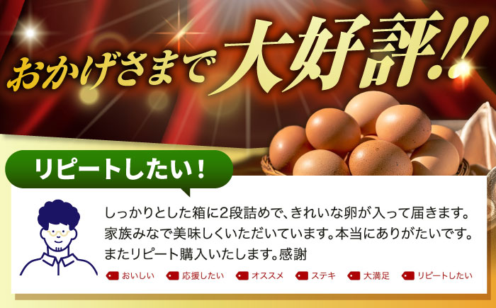 【全3回定期便】特選 素直な恋たまご 60個 《壱岐市》【しまのたまご屋さん】 [JAP003] 卵 たまご 鶏卵 玉子 ギフト 国産 もみじ 卵かけご飯 たまごかけご飯 のし プレゼント ギフト 定期便 39000 39000円