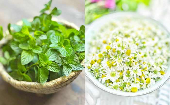 【全4回定期便】壱岐島の四季折々の恵み「旬摘みフラワーティー」アソート6パック《壱岐市》【Island Kiss Innocent】 [JGJ004]