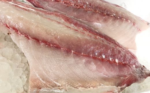 壱岐島産天然寒ブリ（11ｷﾛ台・3枚おろし） [JBS032]