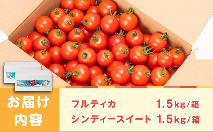 ミディアムトマト 2種 （フルティカ・シンディースイート） 計3kg 《壱岐市》【ISLAND FARM】 トマト 生鮮 野菜 食べ比べ 22000 22000円 [JFL002]