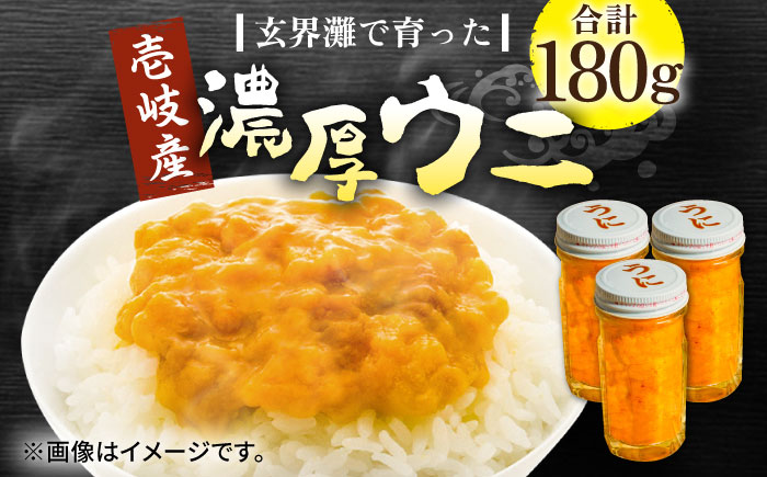 壱岐産 濃厚 ウニ 60g ×3本《壱岐市》【合同会社塚元】ムラサキウニ 海産物 海鮮 うに 雲丹 珍味 [JDR023] 40000 40000円 4万円