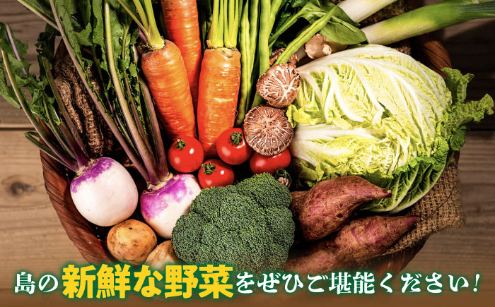 旬の野菜 7品セット 《壱岐市》【壱岐市農業協同組合】[JBO001] 野菜 ベジタブル 食材 詰め合わせ 産地直送 野菜セット グルメ 春 夏 秋 冬 旬 サラダ 冷蔵 夏野菜 スムージー 8000 8000円