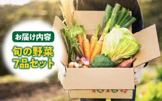 旬の野菜 7品セット 《壱岐市》【壱岐市農業協同組合】[JBO001] 野菜 ベジタブル 食材 詰め合わせ 産地直送 野菜セット グルメ 春 夏 秋 冬 旬 サラダ 冷蔵 夏野菜 スムージー   10000 10000円 1万円