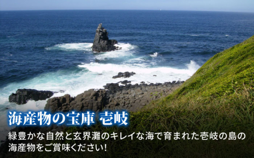 【全12回定期便】壱岐焼酎＆海産物のセット [JDB140] 156000 156000円