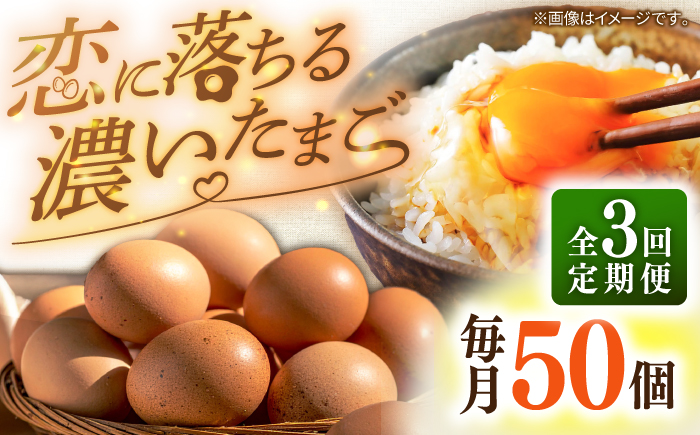 【全3回定期便】特選 素直な恋たまご 50個 《壱岐市》【しまのたまご屋さん】 [JAP023] 卵 たまご 鶏卵 玉子 ギフト 国産 卵かけご飯 たまごかけご飯 のし 定期便 [JAP023]