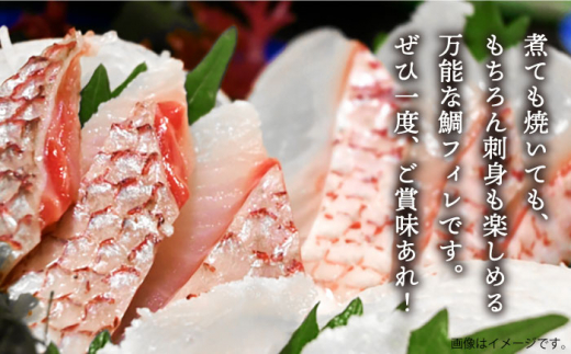 【全3回定期便】鯛フィレ 約800〜1200g（1尾・2kg台）《壱岐市》【なかはら】 [JDT033] タイ 鯛 フィレ 柵 刺身 刺身ブロック 刺し身 切身 冷凍 海鮮 海鮮丼 定期便 81000 81000円 冷凍配送