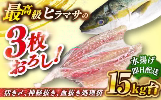 壱岐島産天然ヒラマサ（１５キロ台・三枚おろし） [JBS084]