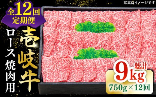 【全12回定期便】 特選 壱岐牛 ロース 750g（焼肉用）《壱岐市》【太陽商事】 [JDL078] お肉 牛肉 和牛 黒毛和牛 肉 高級 霜降り 焼肉 ロース肉 BBQ ローストビーフ 贈答 600000 600000円 60万円