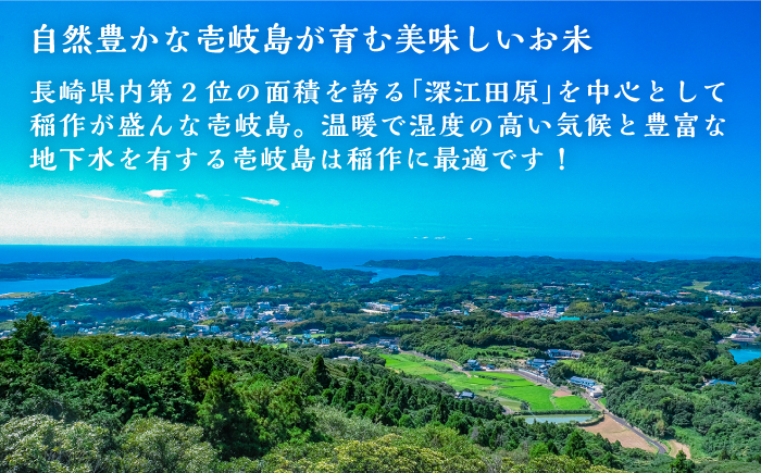 壱岐産 こしひかり 5kg《壱岐市》【壱岐市農業協同組合】 米 お米 ご飯 お弁当 常温発送 [JBO147]