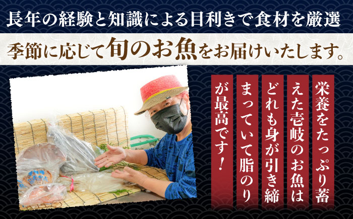 【全6回定期便】ひものや つかもとの旬のおまかせ干物詰め合わせ《梅》 [JDR010] 干物 ひもの みりん干し おまかせ 詰め合わせ アジ あじ いわし イワシ イカ 72000 72000円