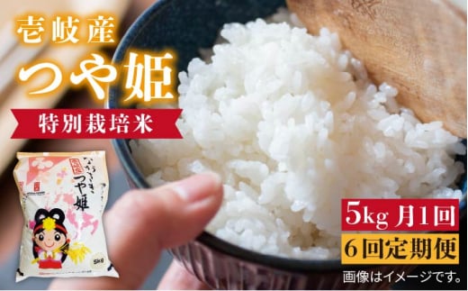 【全6回定期便】壱岐産米 つや姫 5kg 《壱岐市》【壱岐市農業協同組合】 [JBO057] 米 お米 ご飯 ごはん 白米 お弁当 朝食 常温 定期便     100000 100000円 10万円